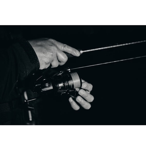 25エクスセンス